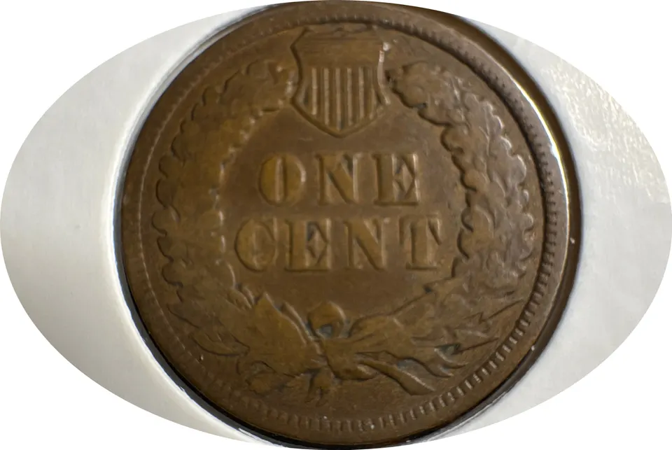 1906-P Indian Head Cent Ungraded — back