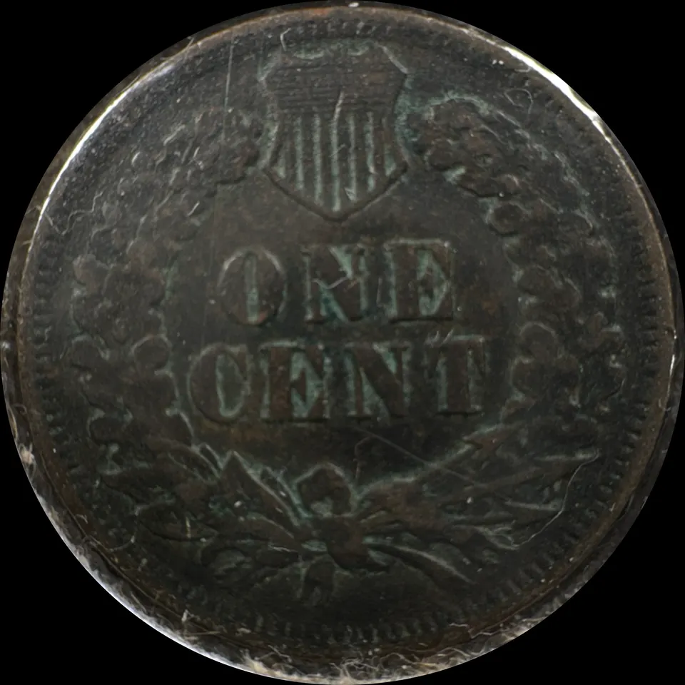 1902-P Indian Head Cent Ungraded — back
