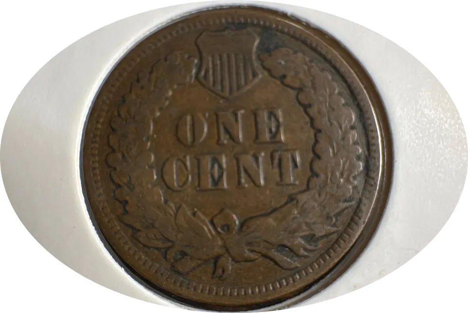 1904-P Indian Head Cent Ungraded — back