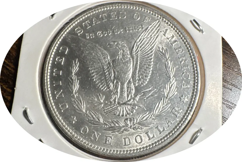 1879-P Morgan Dollar Ungraded — back