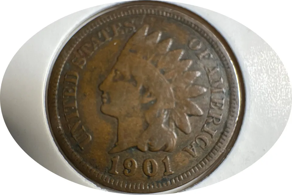 1901-P Indian Head Cent Ungraded — front