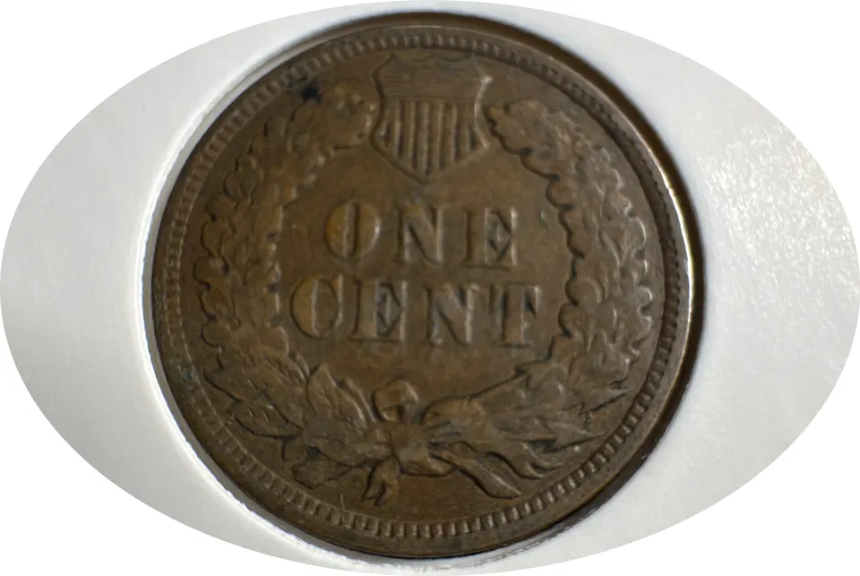 1906-P Indian Head Cent Ungraded — back