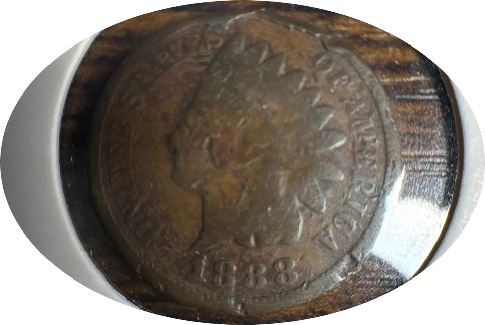 1888-P Indian Head Cent Ungraded — front