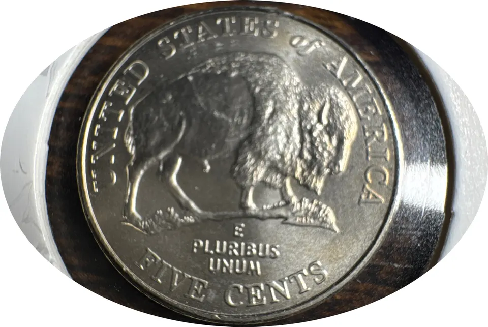 2005-P Jefferson Nickel Ungraded — back
