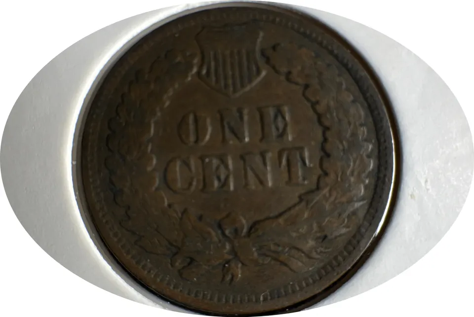 1901-P Indian Head Cent Ungraded — back