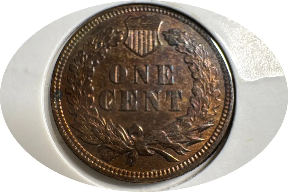 1905-P Indian Head Cent Ungraded — back