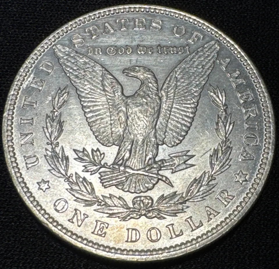 1889-P Morgan Dollar Ungraded — back