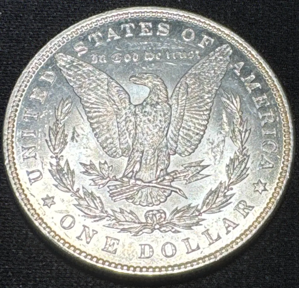 1885-P Morgan Dollar Ungraded — back