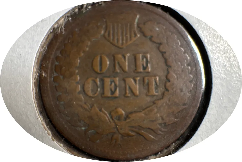 1905-P Indian Head Cent Ungraded — back