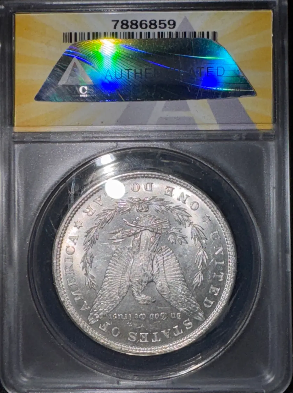 1879-P Morgan Dollar MS60 — back