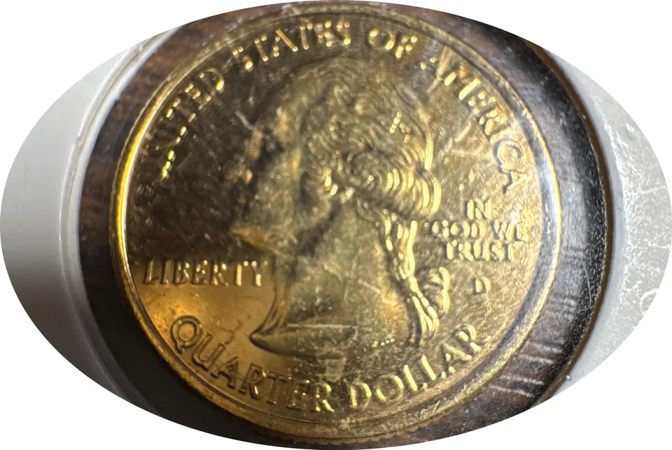 2006-P Washington Quarter Ungraded — back