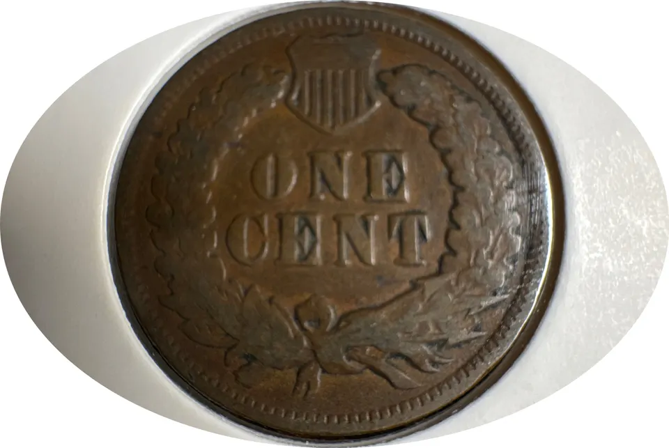 1901-P Indian Head Cent Ungraded — back