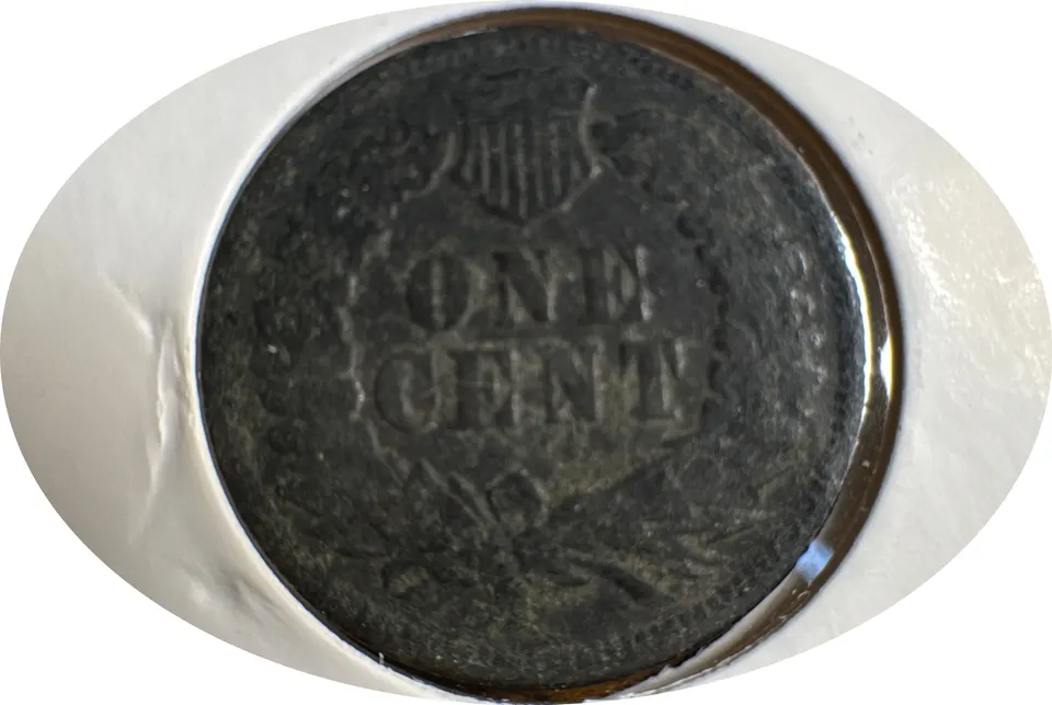 1905-P Indian Head Cent Ungraded — back