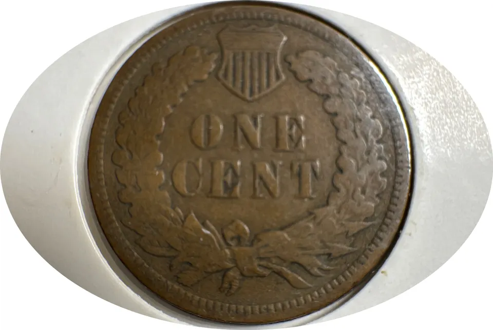 1906-P Indian Head Cent Ungraded — back