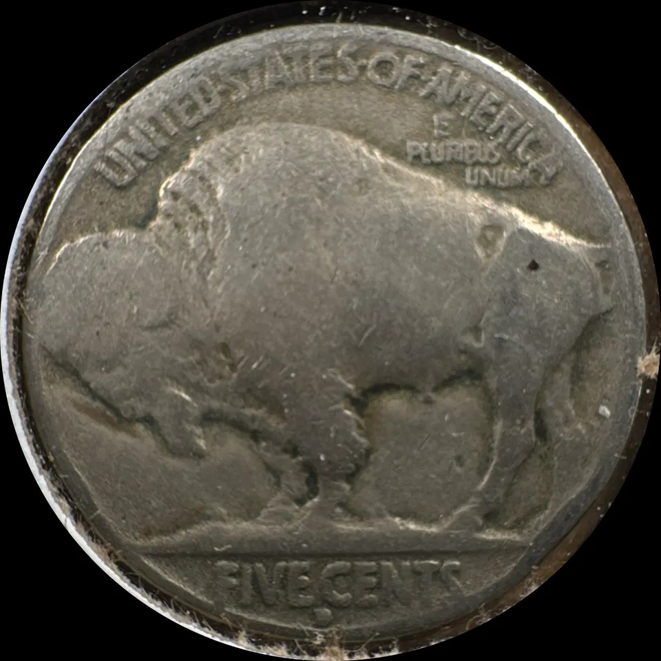 1929-D Buffalo Nickel Ungraded — back
