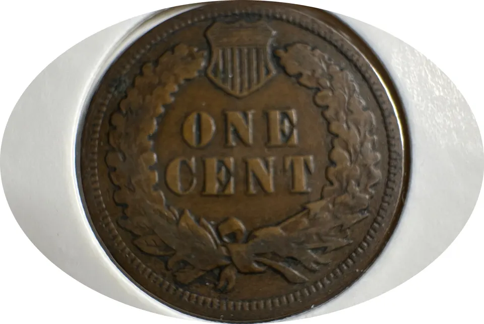 1906-P Indian Head Cent Ungraded — back