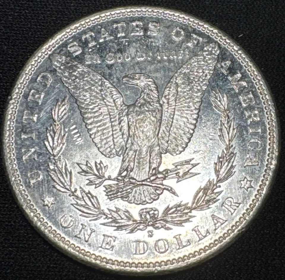 1881-S Morgan Dollar Ungraded — back