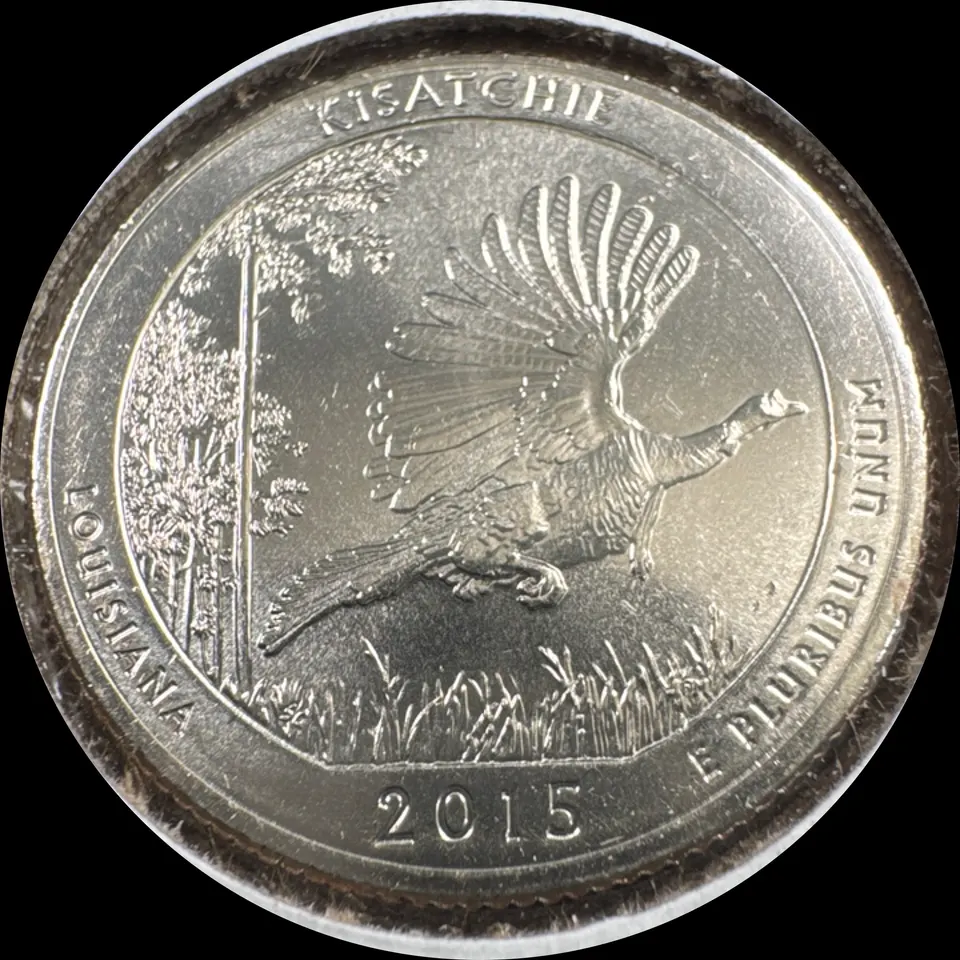 2015-D Washington Quarter Ungraded — back