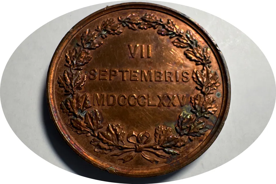 1875 Unveiling of King Carl XIV Johan Statue Medal Ungraded — back