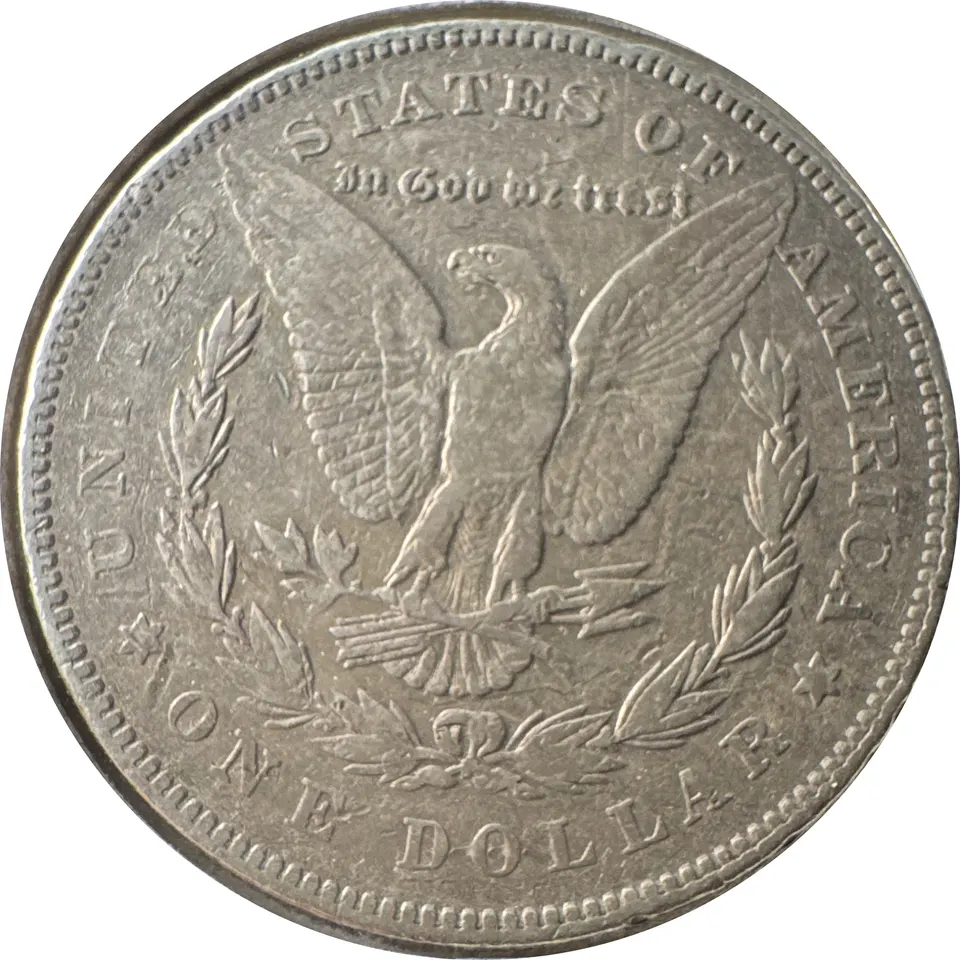 1878-P Morgan Dollar Ungraded — back