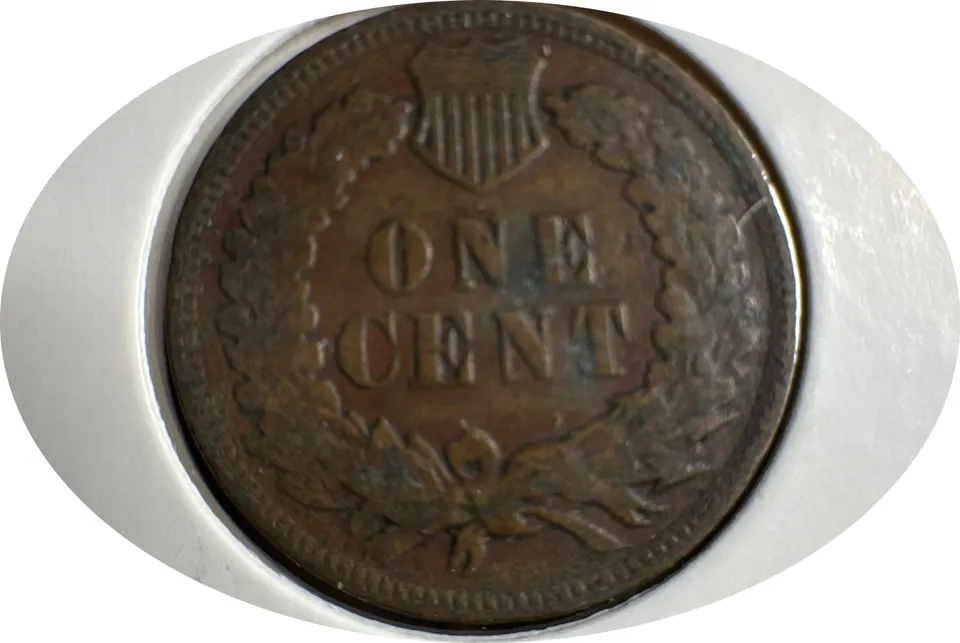 1906-P Indian Head Cent Ungraded — back