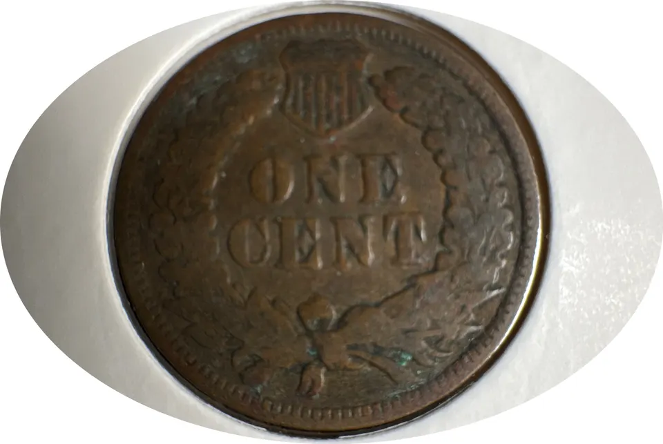 1900-P Indian Head Cent Ungraded — back