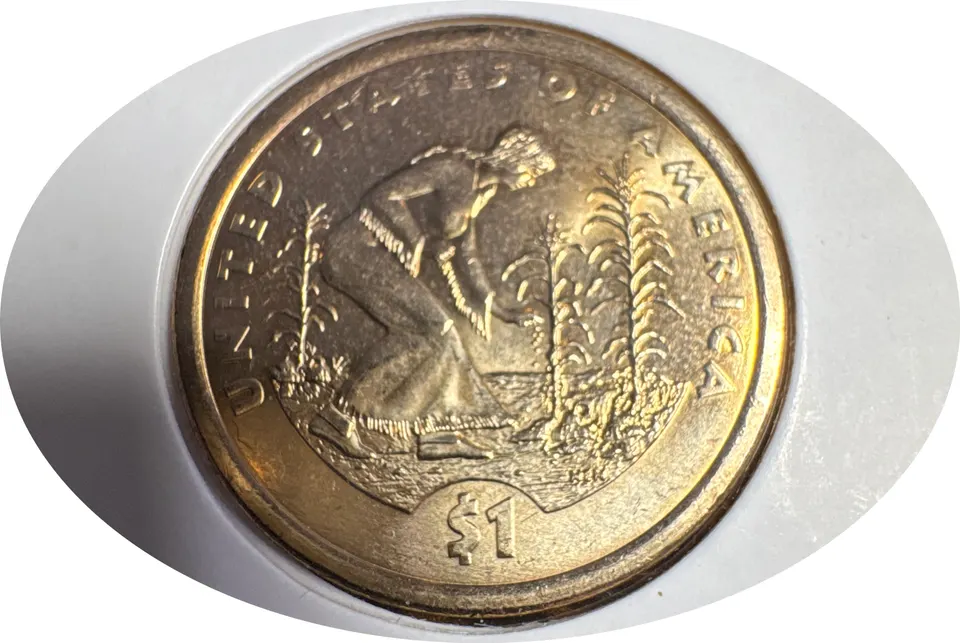 2009-D Sacagawea Dollar Ungraded — back