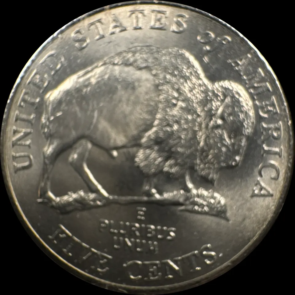 2005-P Buffalo Nickel Ungraded — back