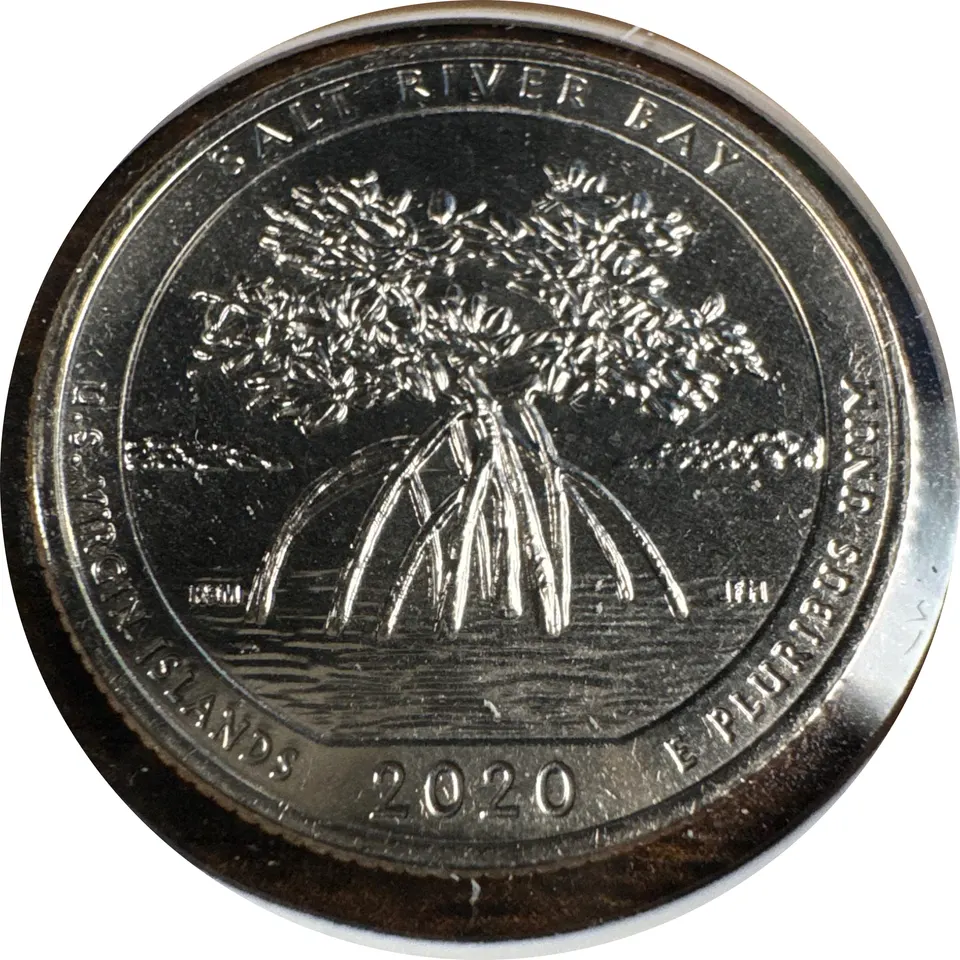 2020-D Washington Quarter Ungraded — back
