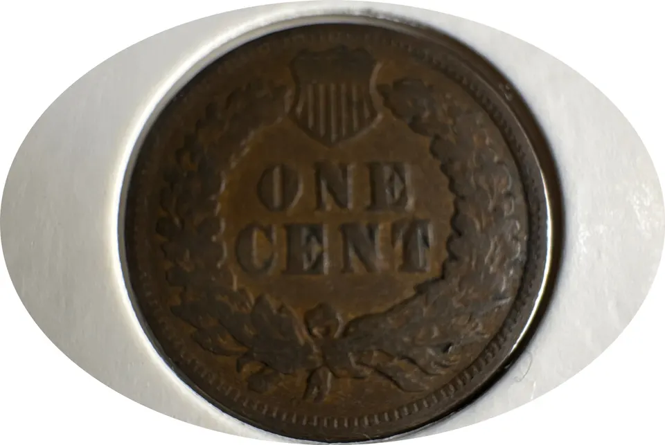 1903-P Indian Head Cent Ungraded — back