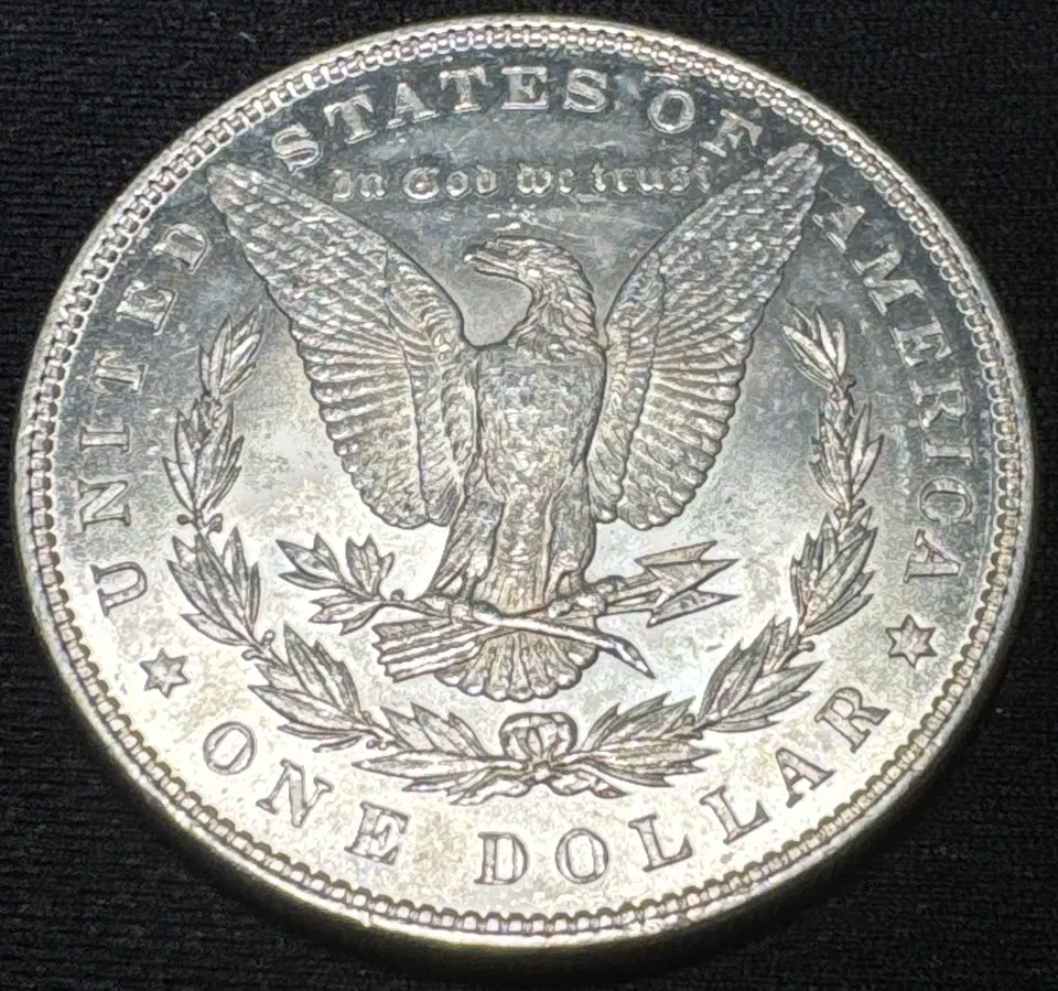1885-P Morgan Dollar Ungraded — back