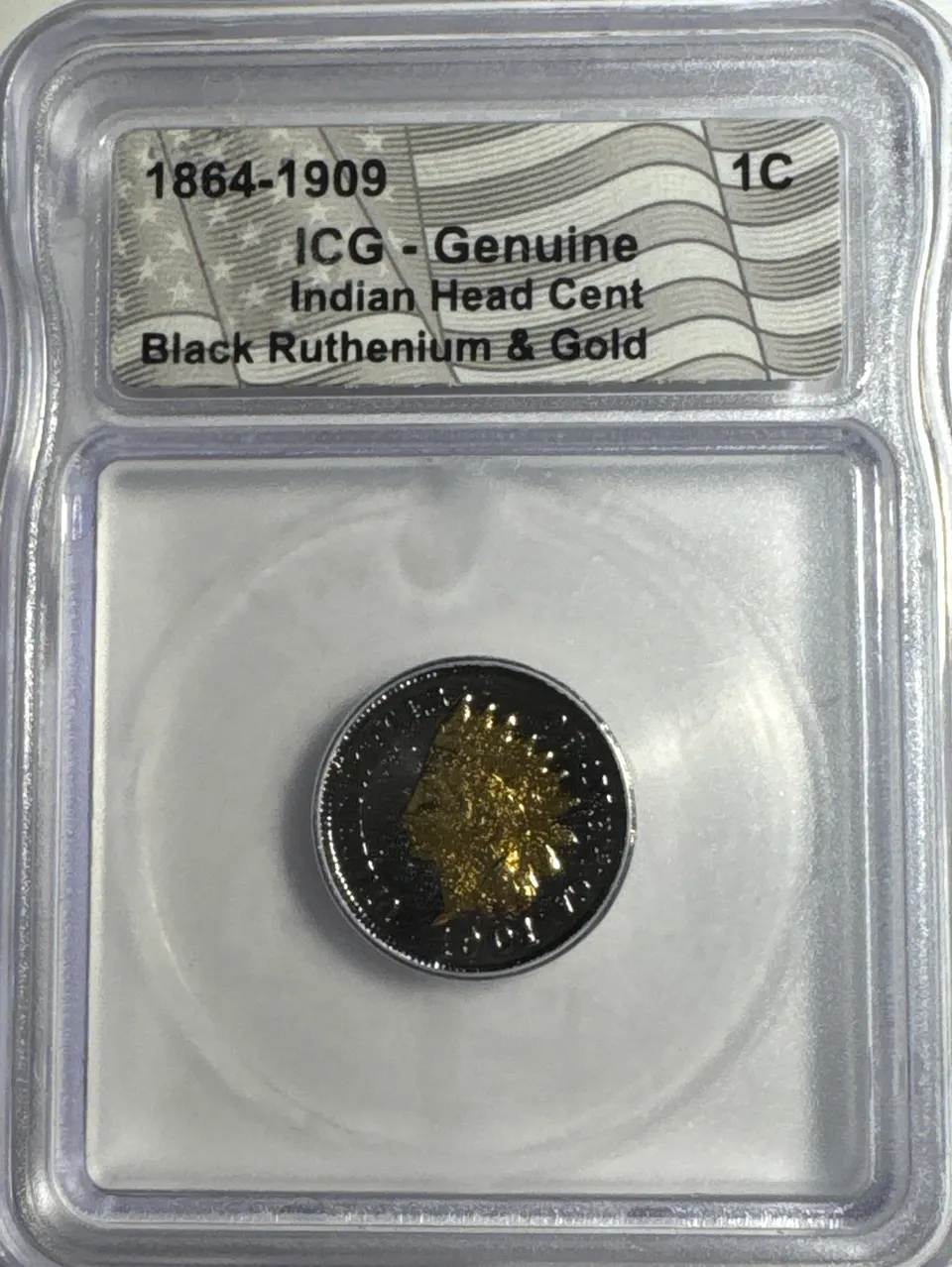 1901-P Indian Head Cent Genuine — front