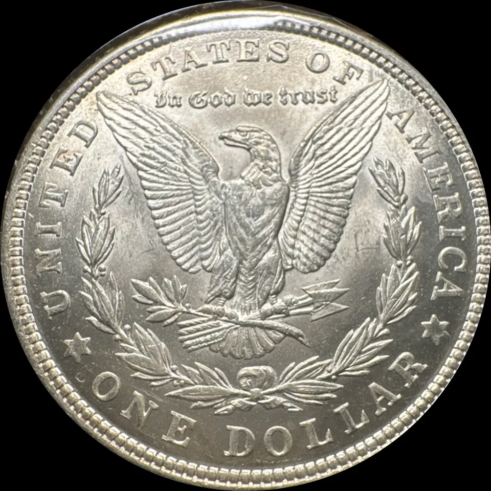 1921-P Morgan Dollar Ungraded — back